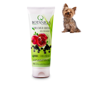 Botaniqa For Ever Bath Odżywka dla Psa 250ml