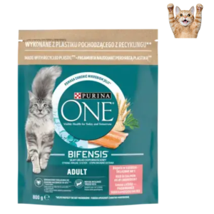 Purina ONE Adult, Bogata w Łososia i Ziarna Karma Sucha dla Kota 800g