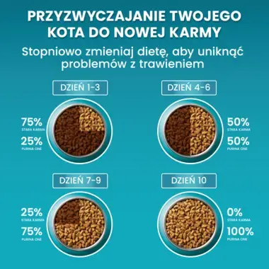 Purina ONE Sterilcat Bogata w Łososia Karma Sucha dla Kota 800g - obrazek 3
