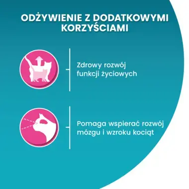 Purina One Bifensis Junior Karma Sucha dla Kociąt Bogata w Kurczaka 800g - obrazek 2