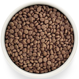Grandorf Veterinary Diet Cat Gastrointestinal Turkey <span class="dynamic-weight">2.4 kg</span> - obrazek 2